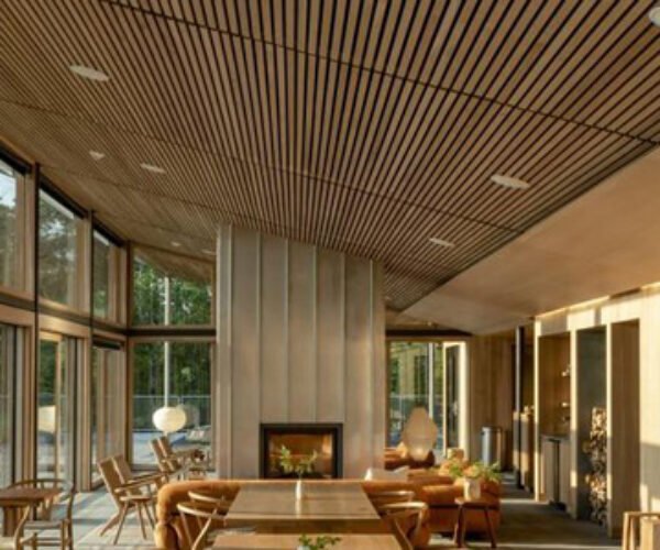 wooden celing