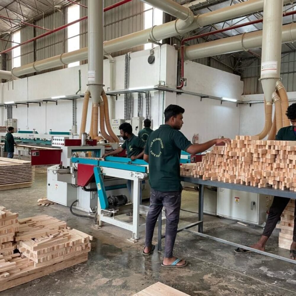 WhatsApp Image 2024-07-01 at 3.02.57 PM