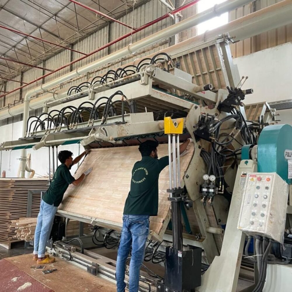 WhatsApp Image 2024-07-01 at 3.03.07 PM